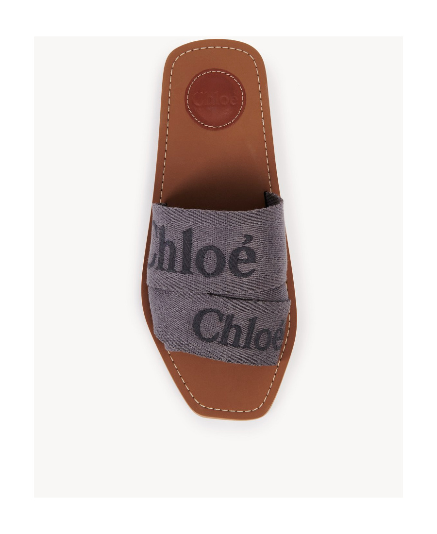 Chloé Logo Slippers In Brown