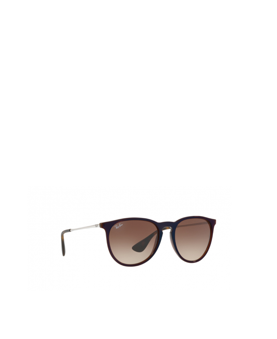 Ray Ban Ray-ban Erika Classic Sunglasses In Brown