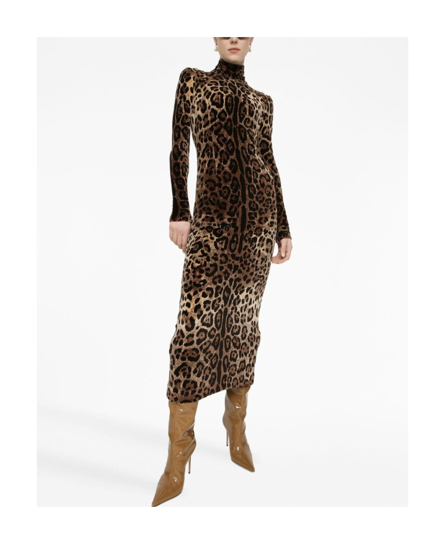 Dolce & Gabbana Leopard-print Mid-length Dress In Black