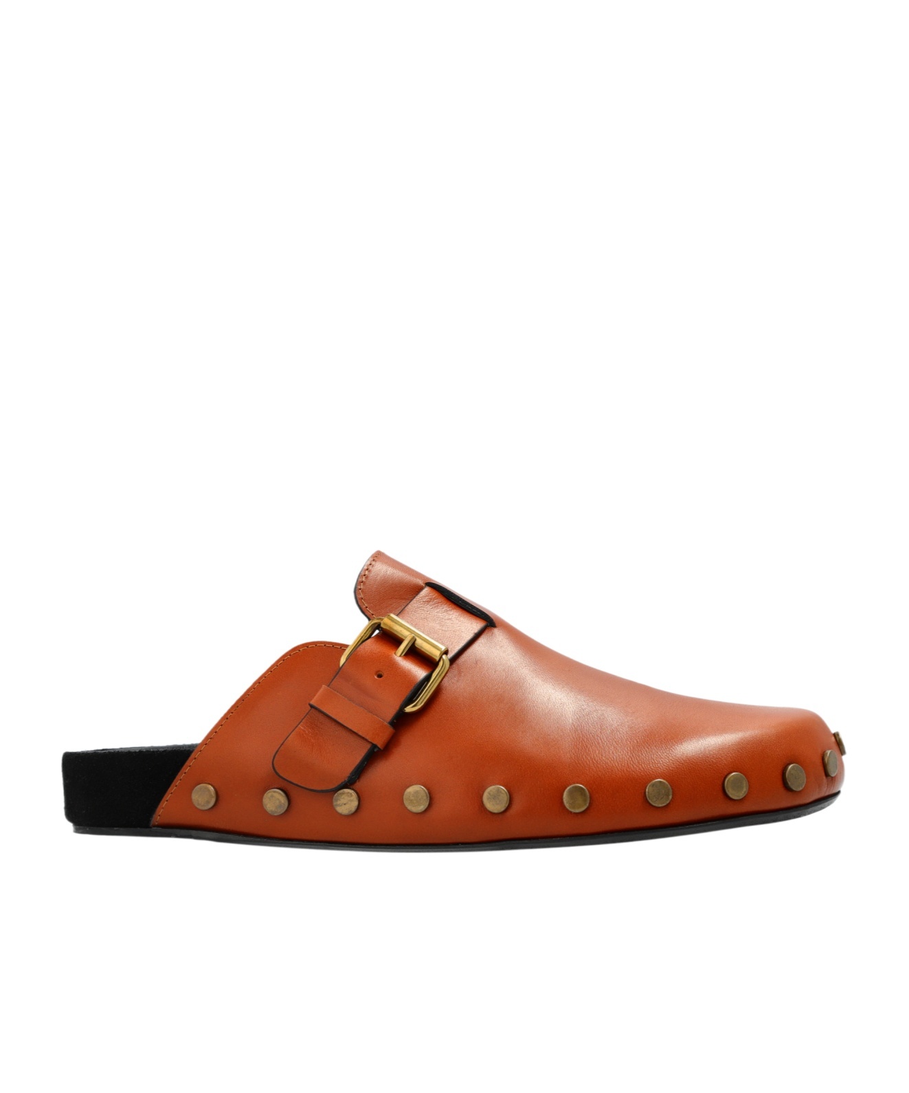 Isabel Marant Mirvin Mules In Brown