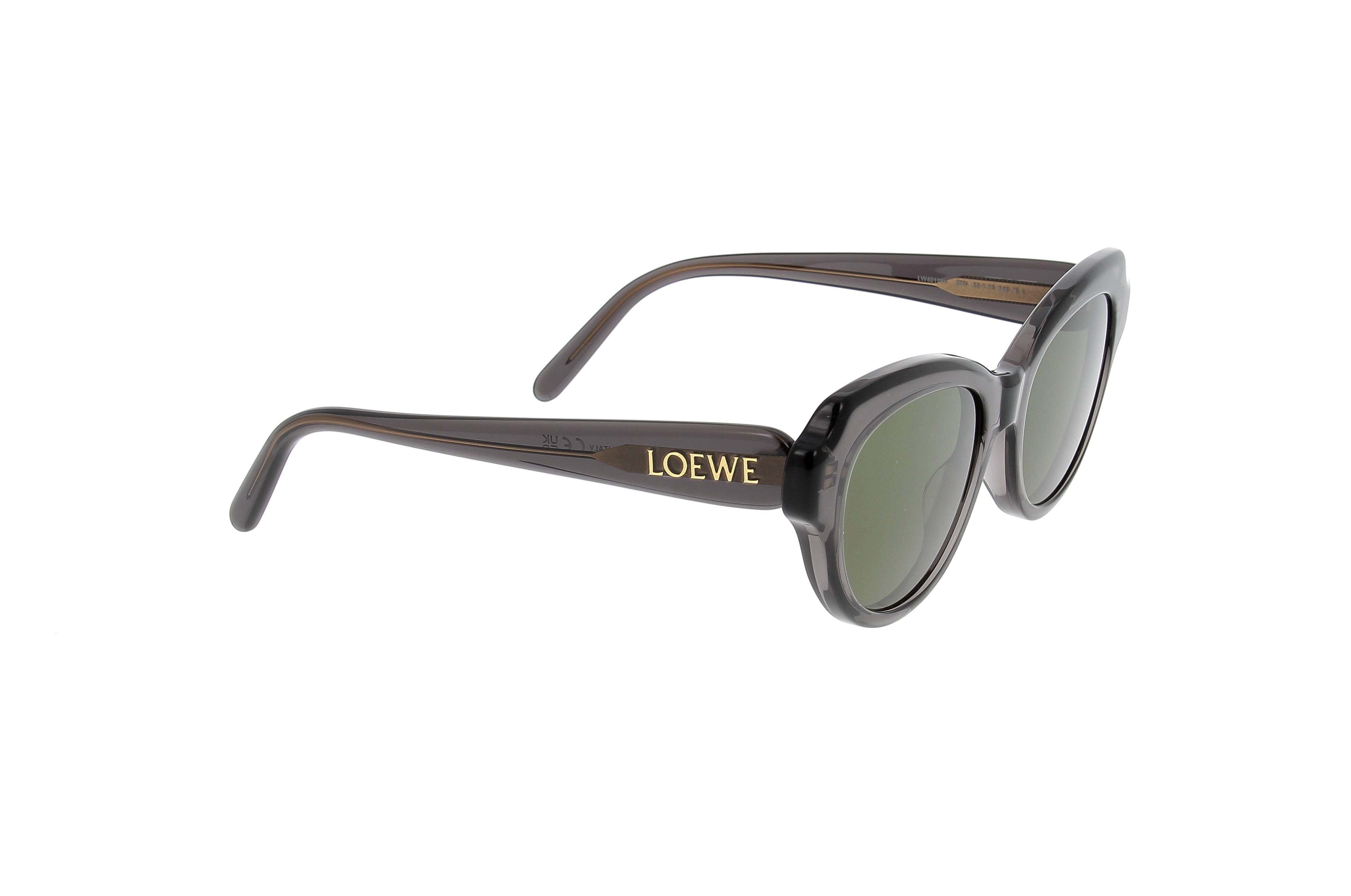 Loewe Full Frame Sunglasses In Green