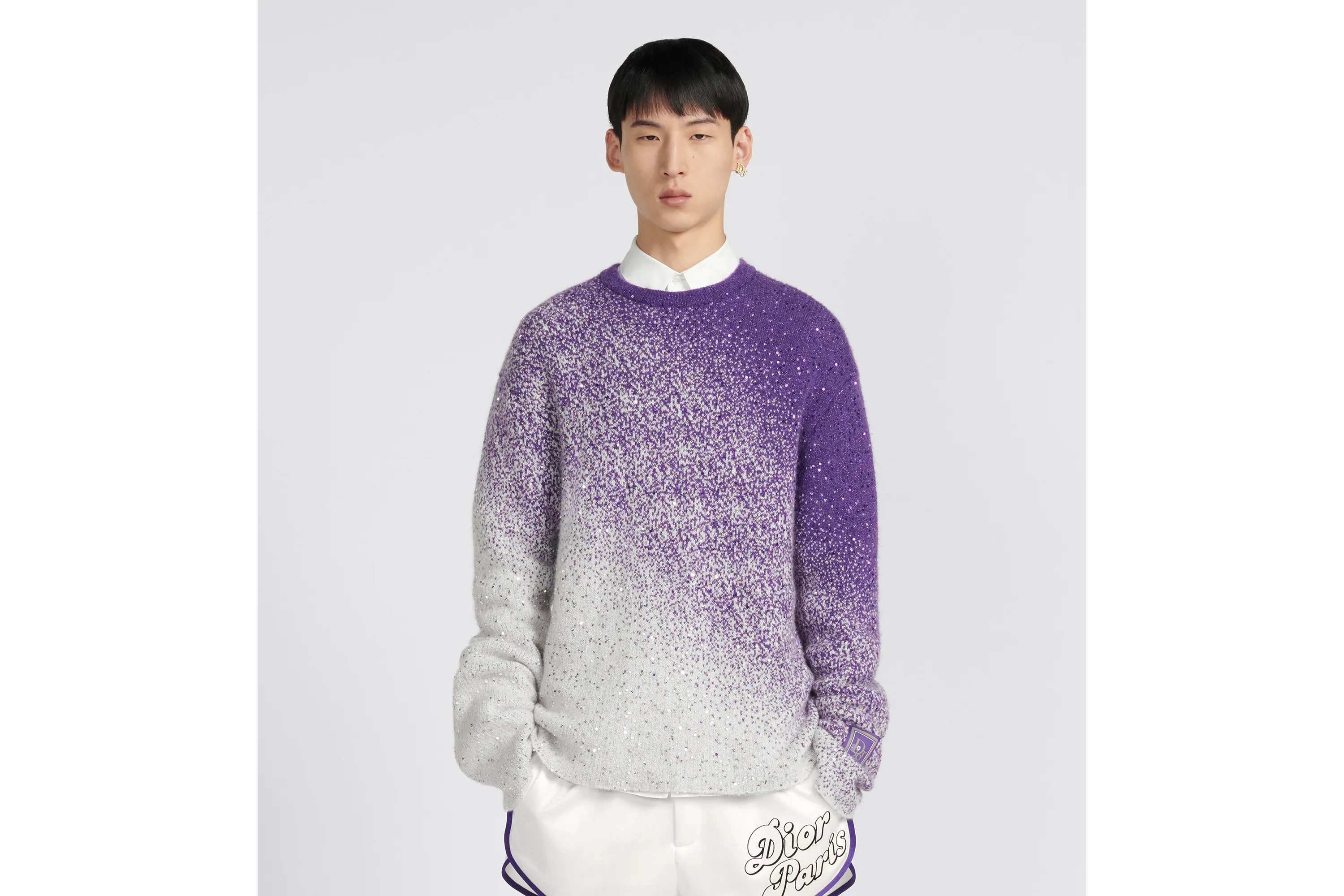 Dior Round Neck Sweater In Purple