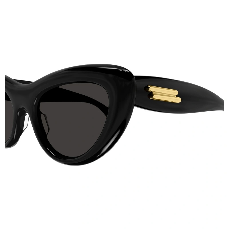Bottega Veneta Curvy Acetate Cat-eye Sunglasses In Black