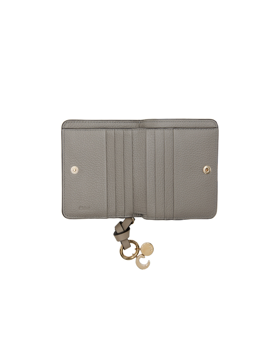 Chloé Small Zipper Wallet In Gray