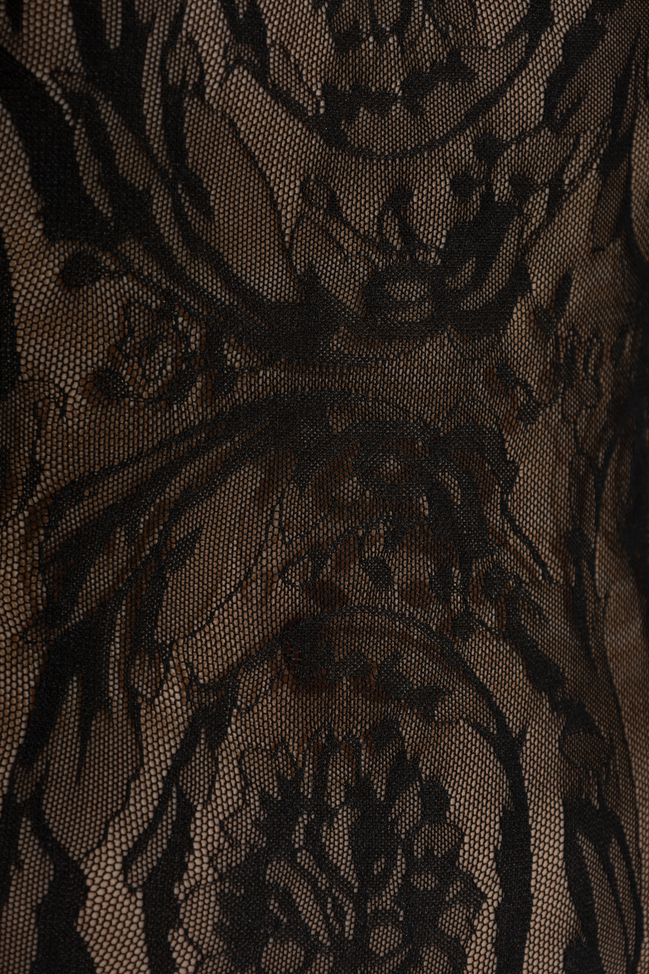 Versace Geometric Border Lace Bodysuit In Black