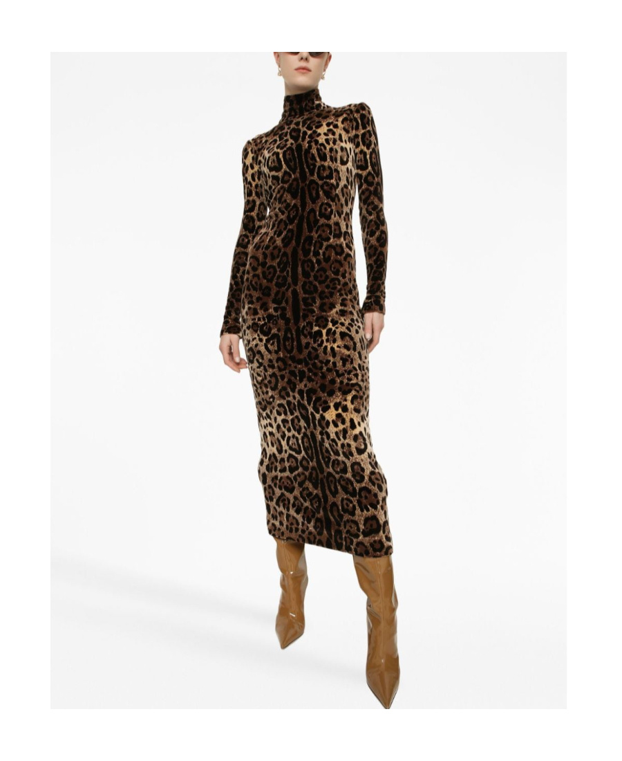 Dolce & Gabbana Leopard-print Mid-length Dress In Black