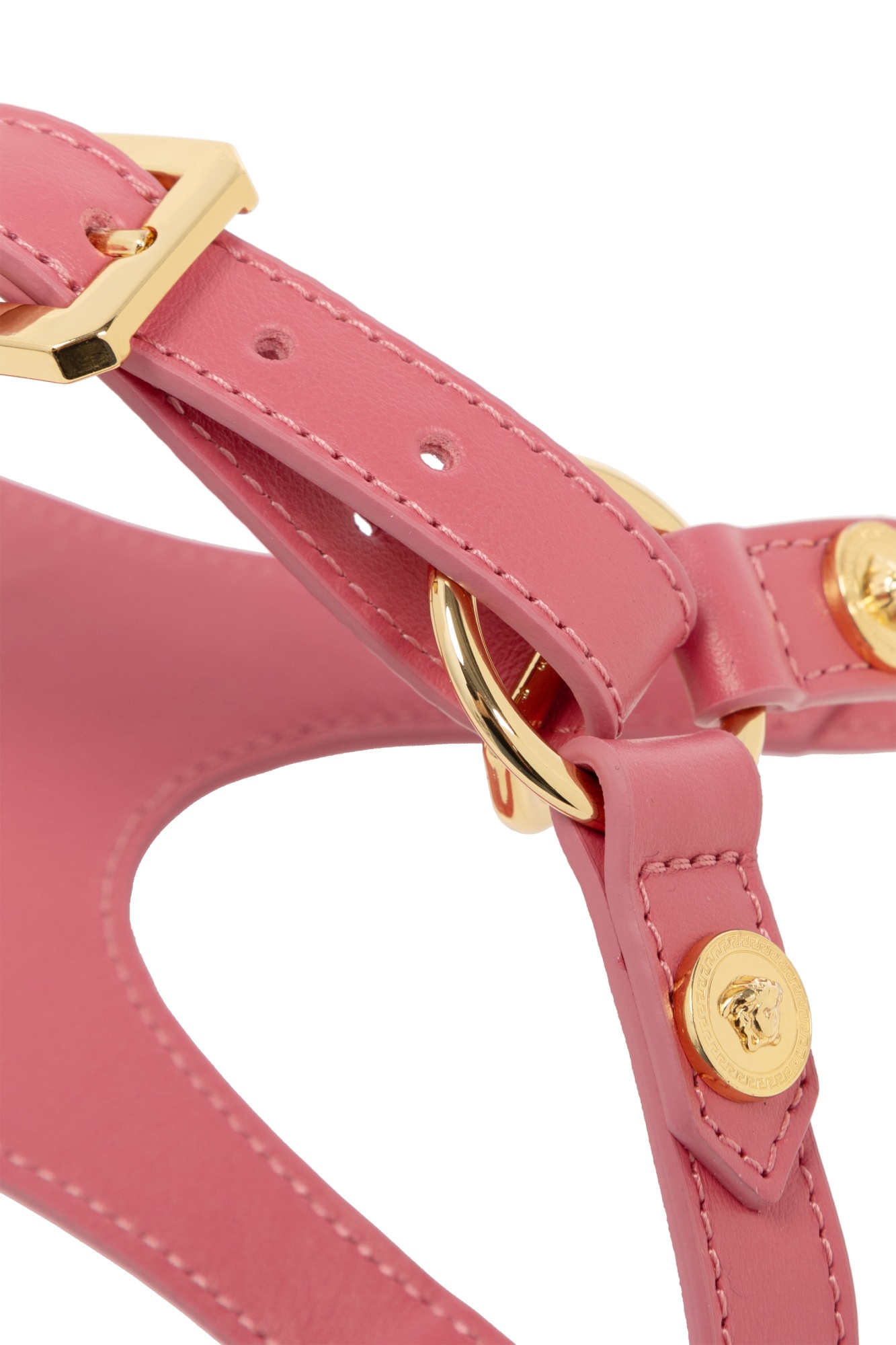 Versace Home Logo Dog Collar In Red