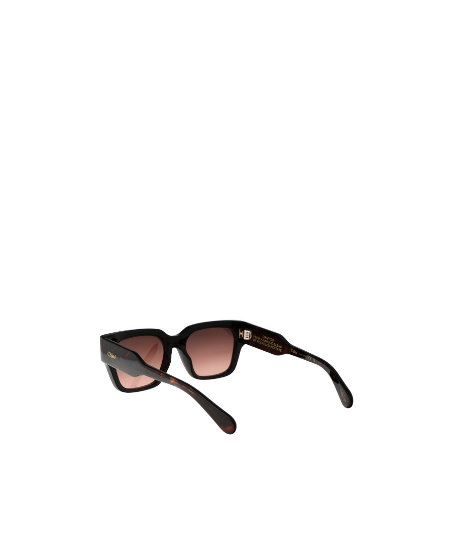 Chloé Havana-havana-copper Acetate Sunglasses In Black