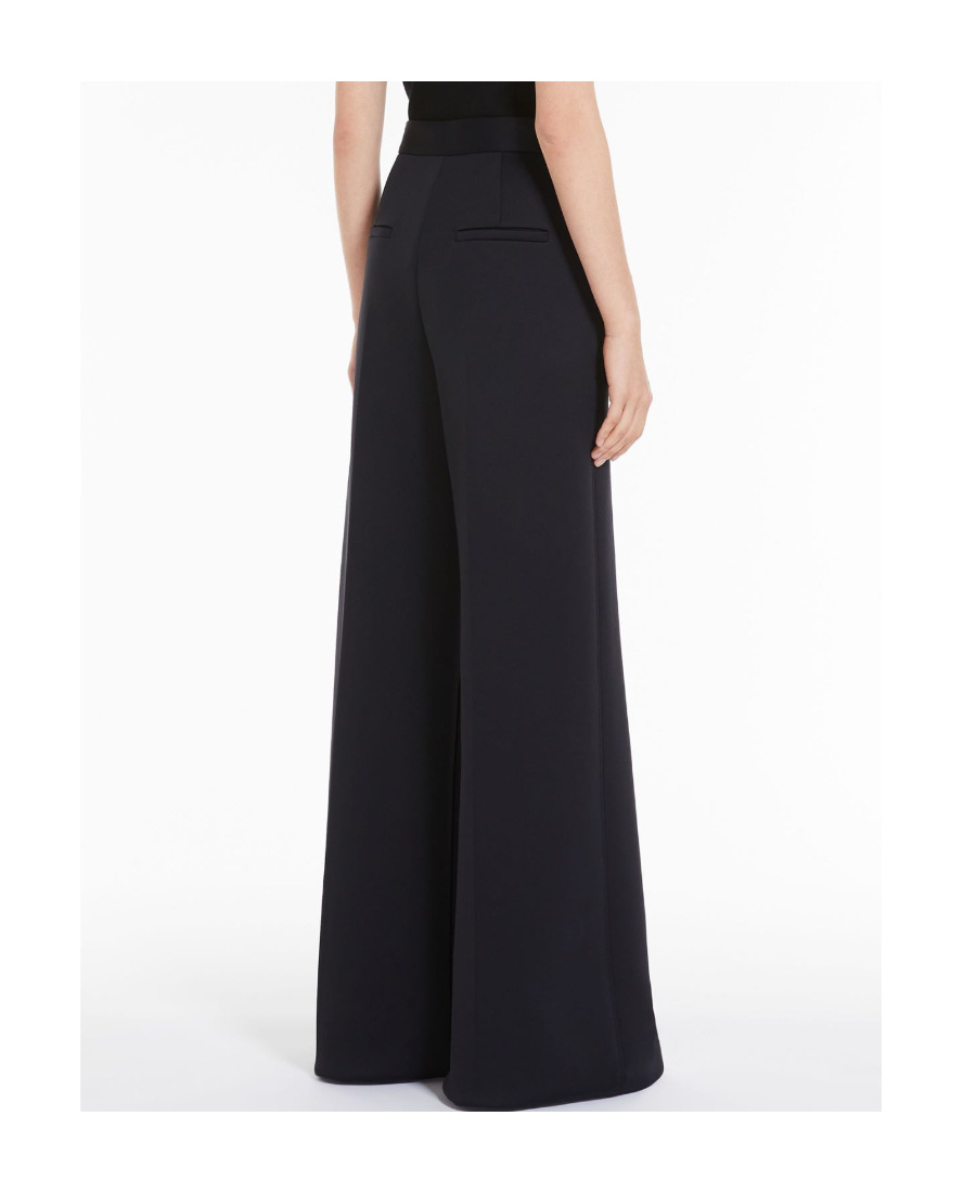 Max Mara Zinnia Pleat Detailed High Waist Pants In Black
