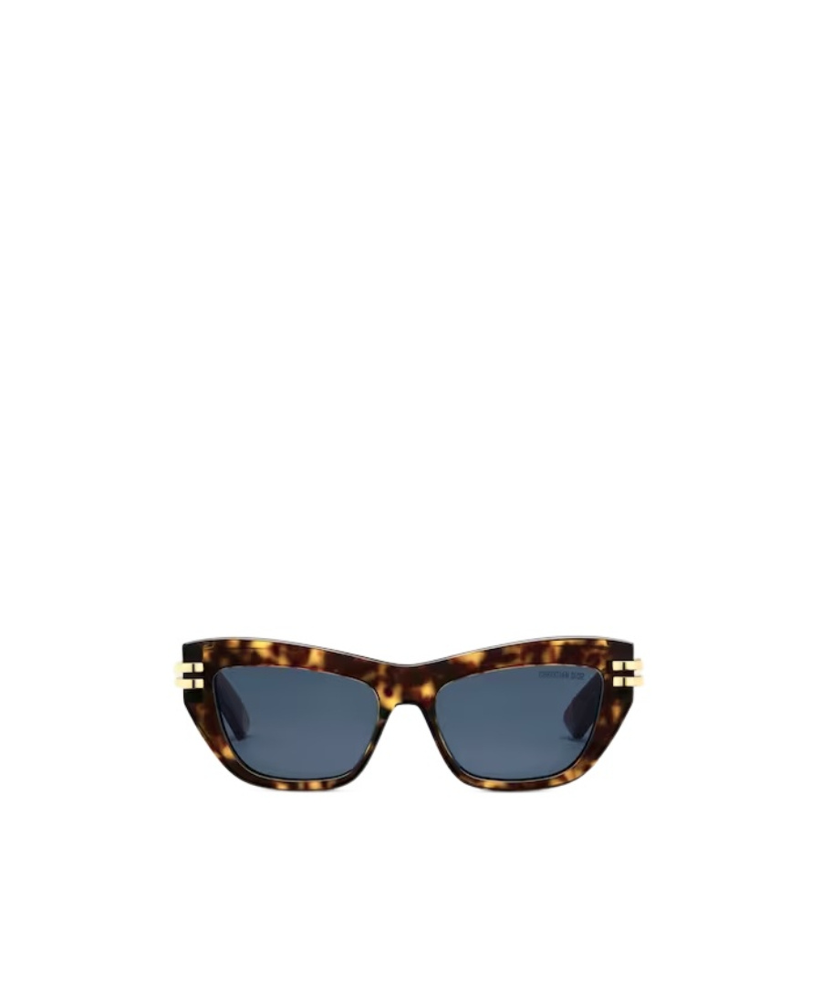 Dior Logo Butterfly Sunglasses In Brown