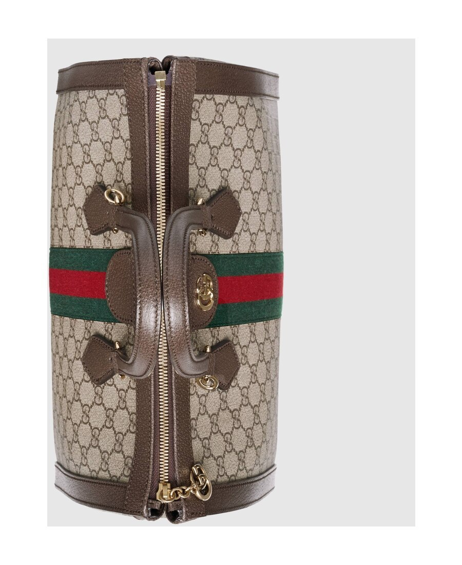 Gucci Small Ophidia Gg Supreme Top Handle Bag In Brown