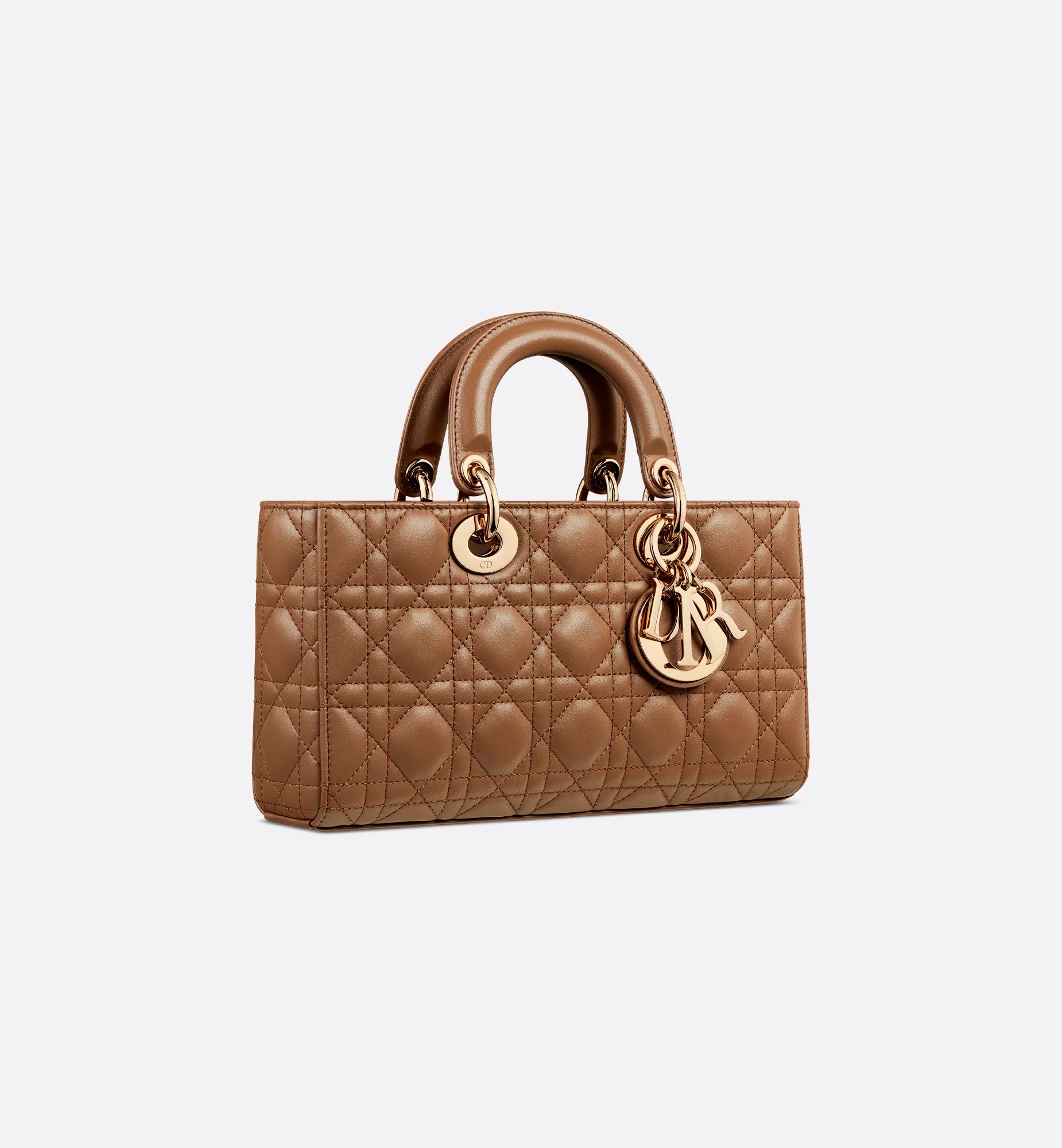 Dior Medium Lady D-joy Bag In Brown