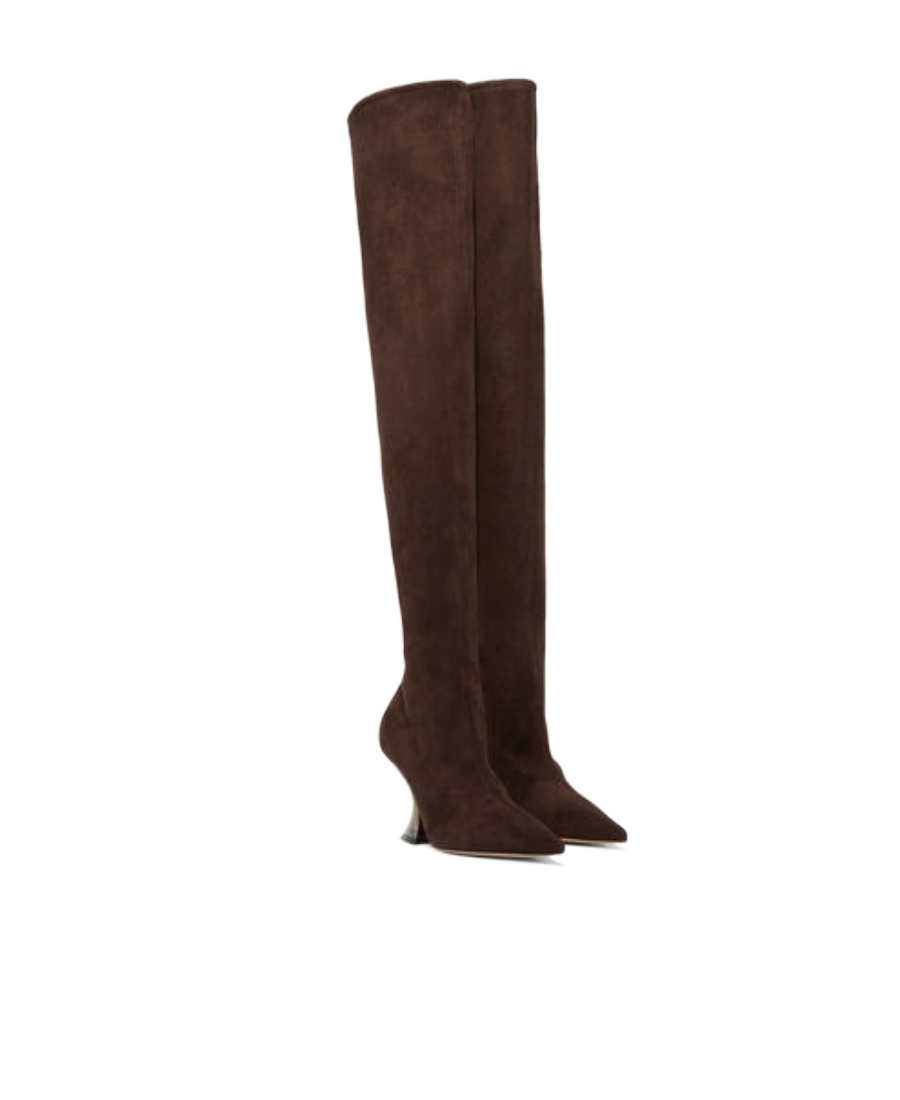 Casadei 100mm Thigh-high Suede Boots