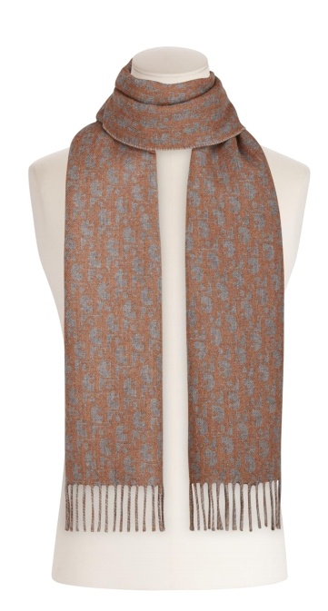 Dior Fringed Scarf In Brown