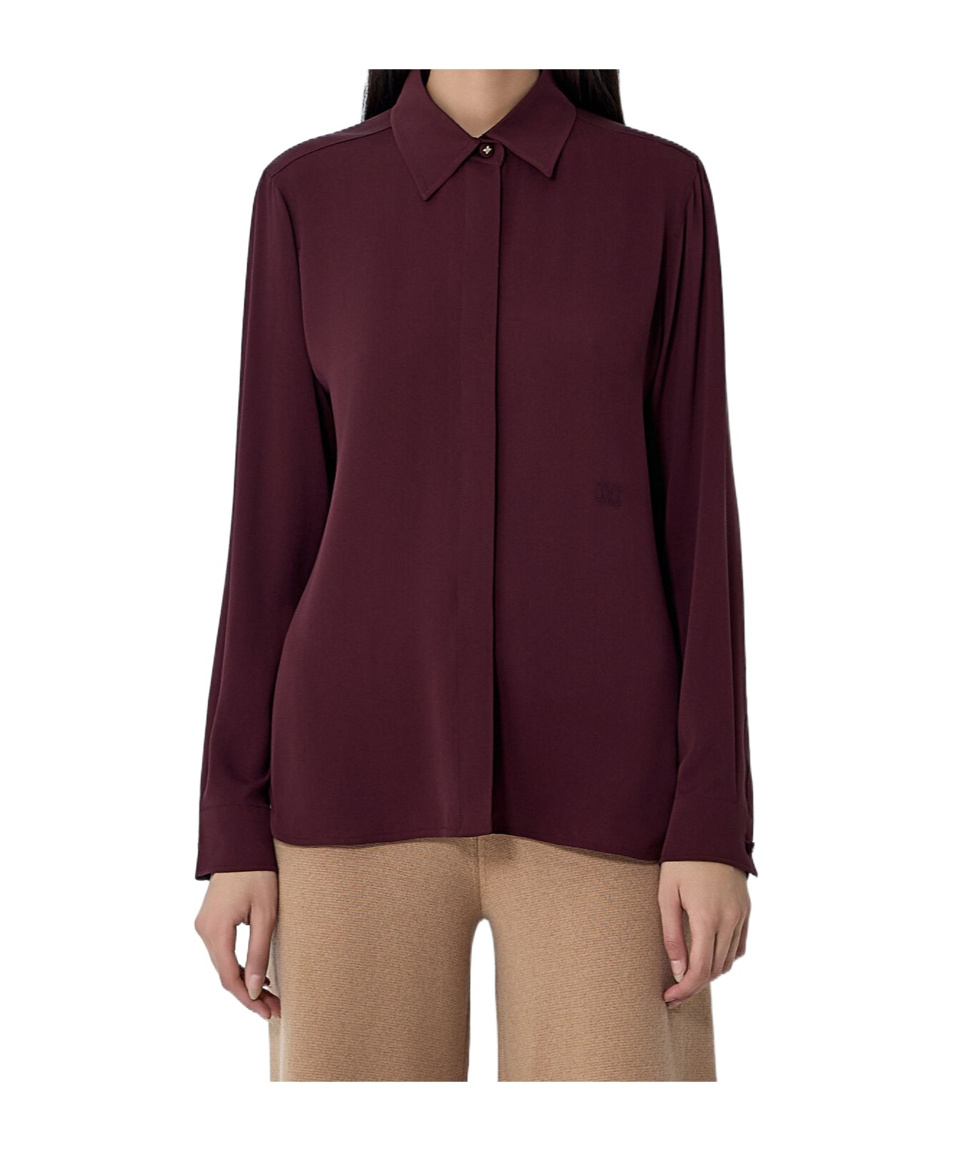 Max Mara Long Sleeve Shirt In Brown