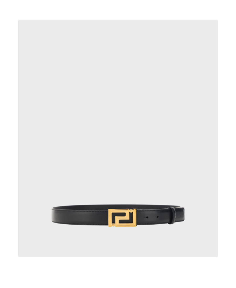 Versace Greca Goddess Buckle Fastened Belt In Multi