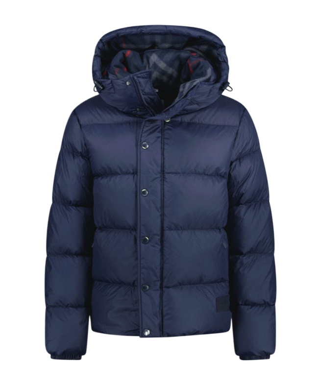Burberry Long-sleeved Down Jacket In Blue