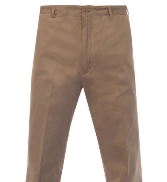 Paul & Shark Straight Casual Pants In Brown