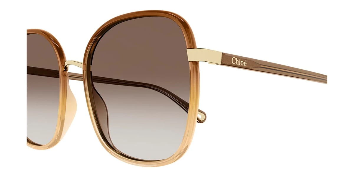 Chloé Box Logo Sunglasses In Multicolor