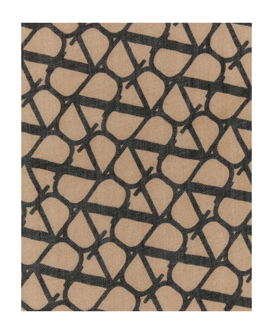 Valentino Garavani Toile Iconographe Scarf In Brown