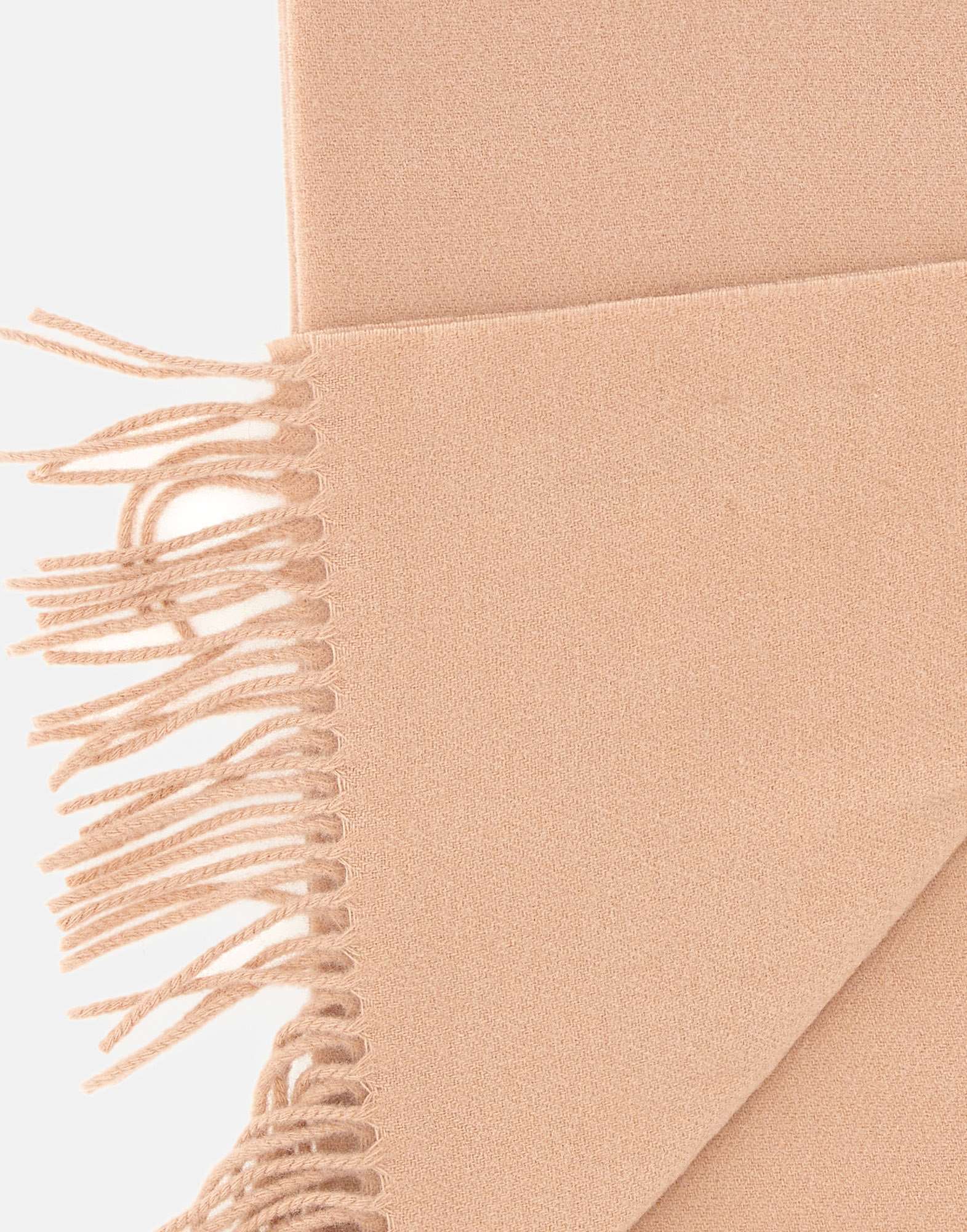 Vivienne Westwood Fringed Logo-embroidered Scarf In Brown