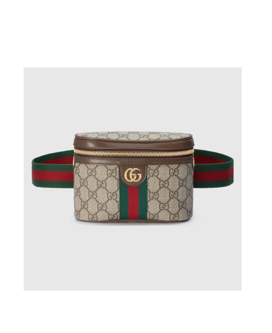 Gucci Ophidia Belt Bag In Multicolor