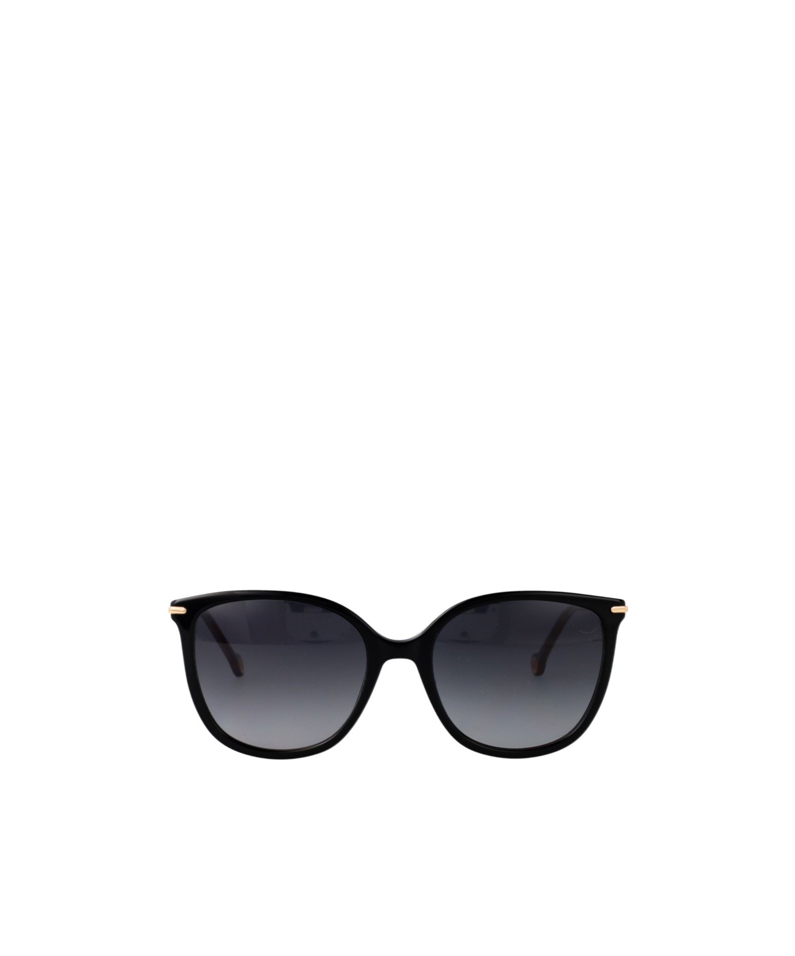 Carolina Herrera Full Frame Sunglasses In Neutral