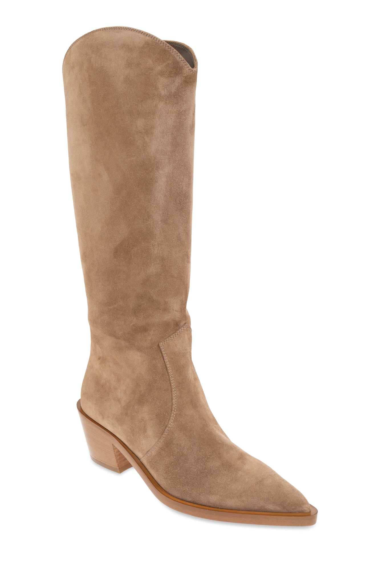 Gianvito Rossi Waylon Pointed Toe Boots