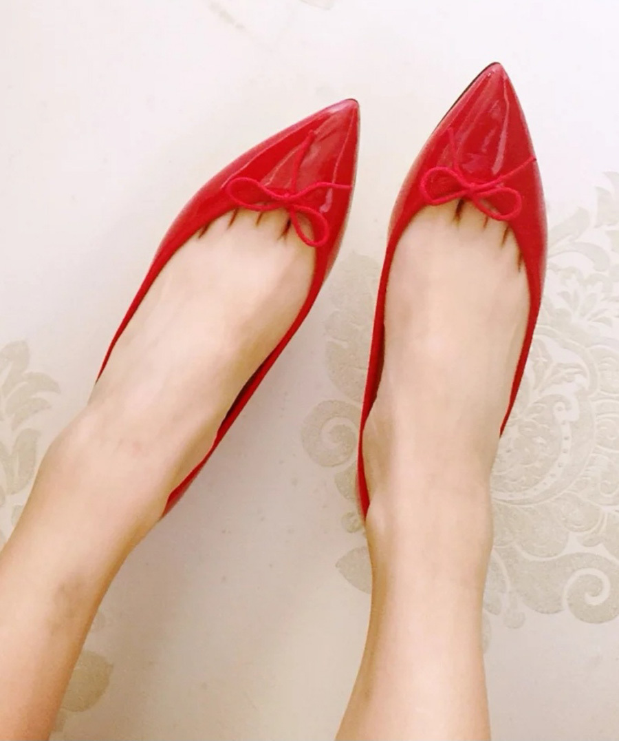 Repetto Red Brigitte Pointy Toe Ballerina Flats In Red