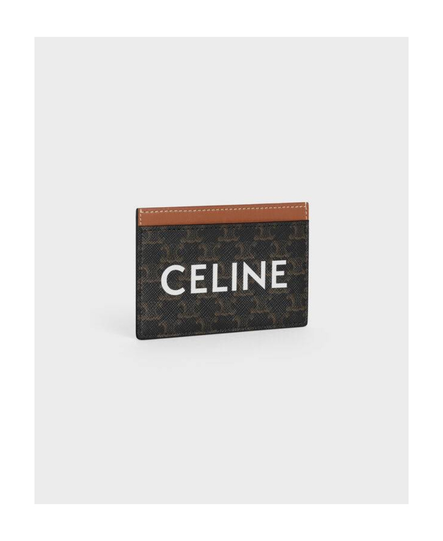 Celine Printed Card Bags With Coated Canvas And Cowhide In Brown