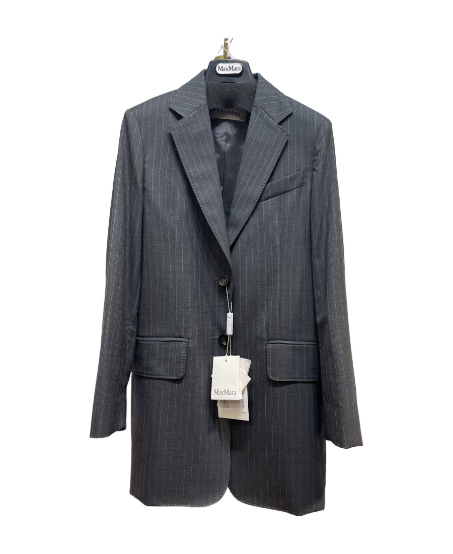 Max Mara Striped Suit Jacket In Gray
