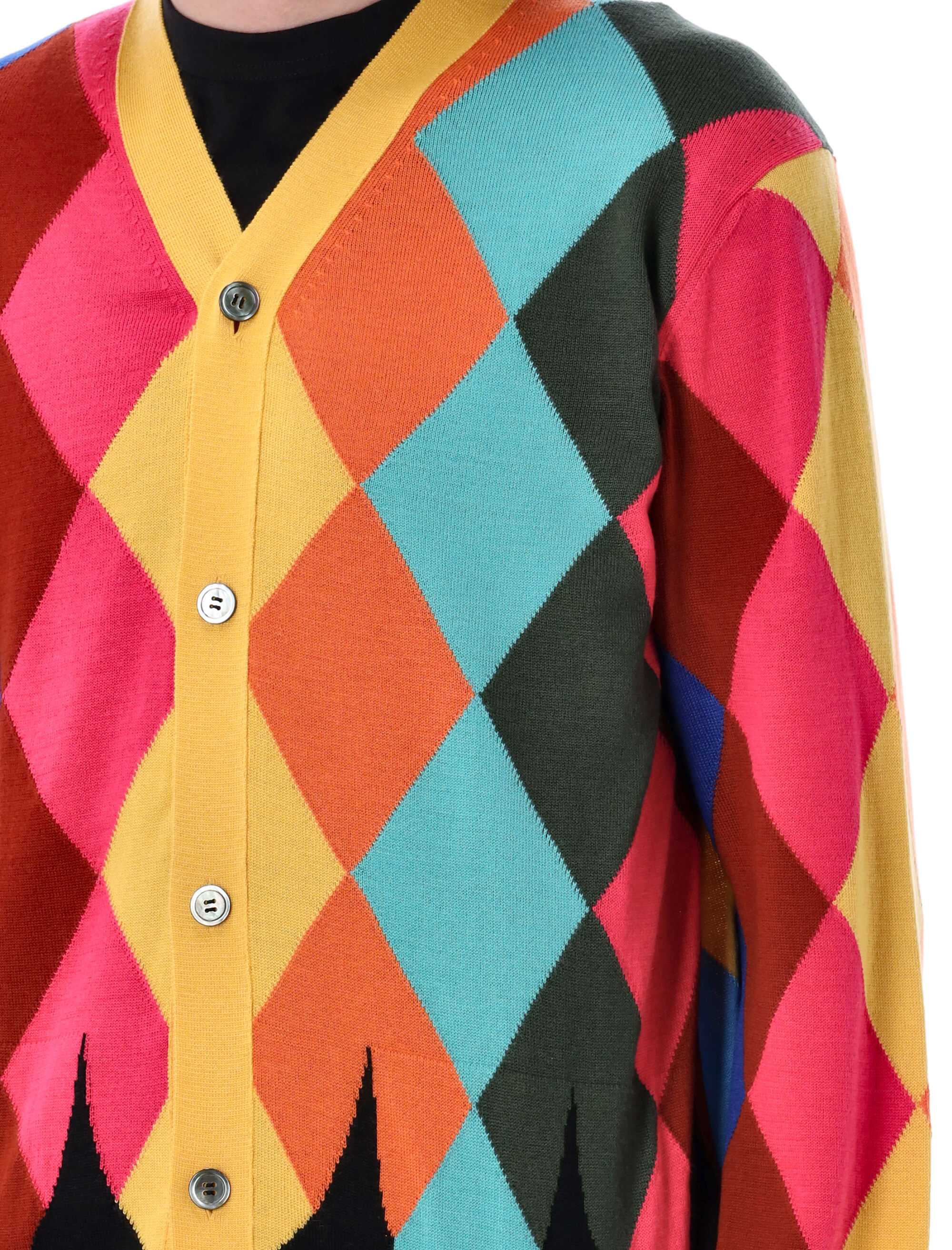 Comme Des Garçons Homme Plus Button-up Cardigan In Multicolor