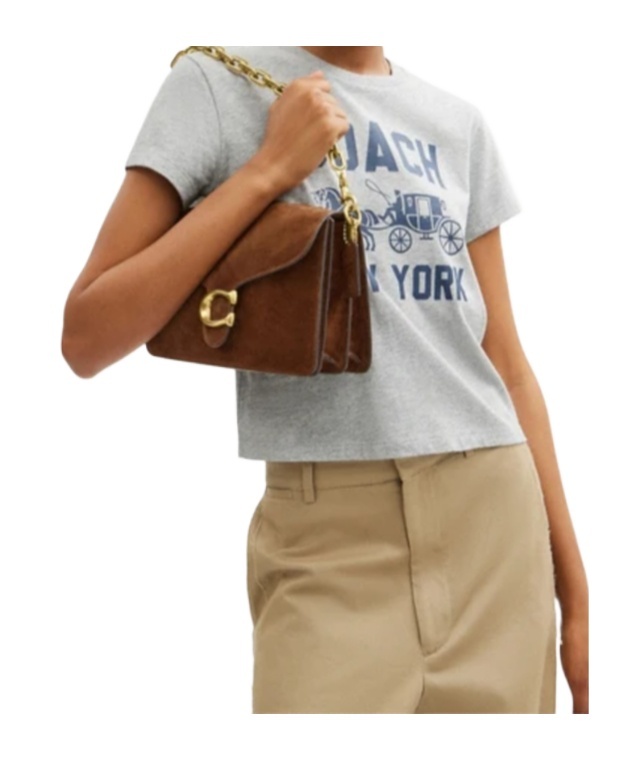 Coach Tabby Chain Suede Leather Shoulder Bag In Brown