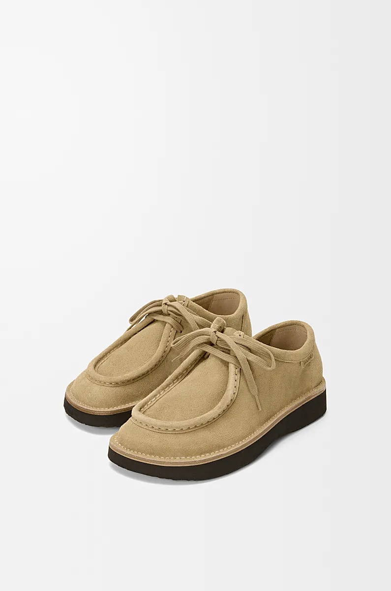 Loewe Faro Lace Up Shoes In Suede Calfskin