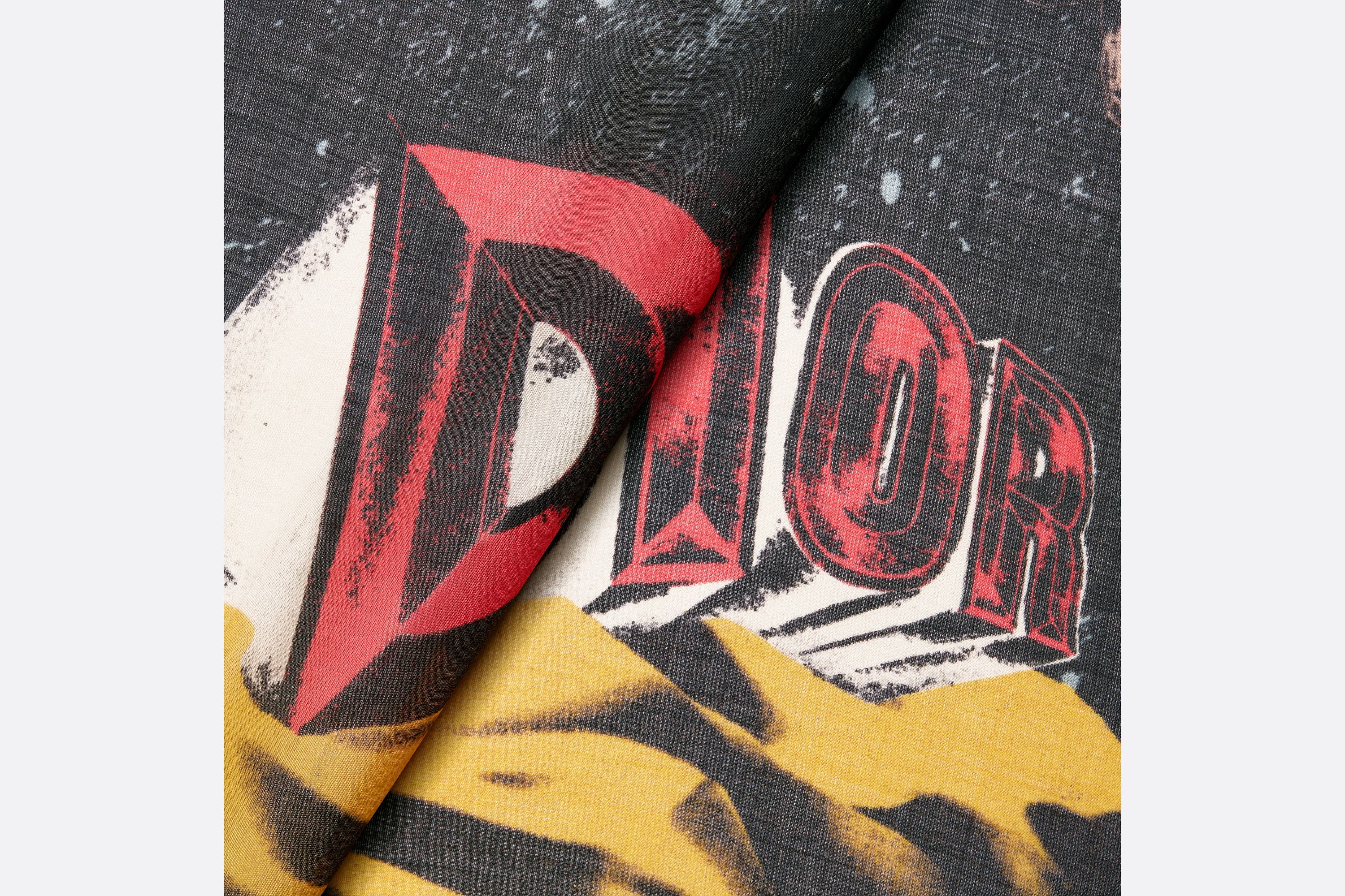 Dior Pattern Printed Shawl In Multicolor