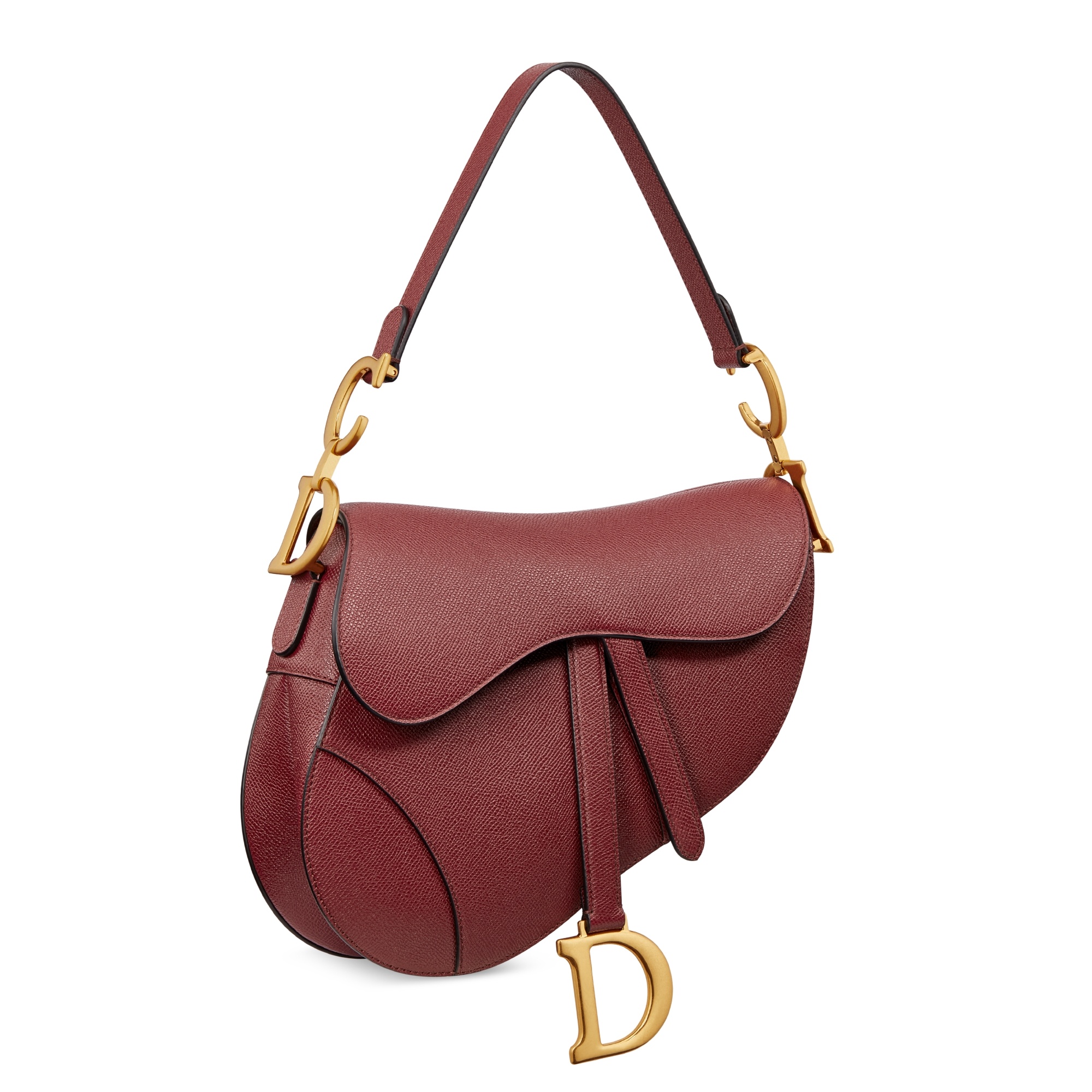 Dior Saddle Bag With Shoulder Strap In Brown