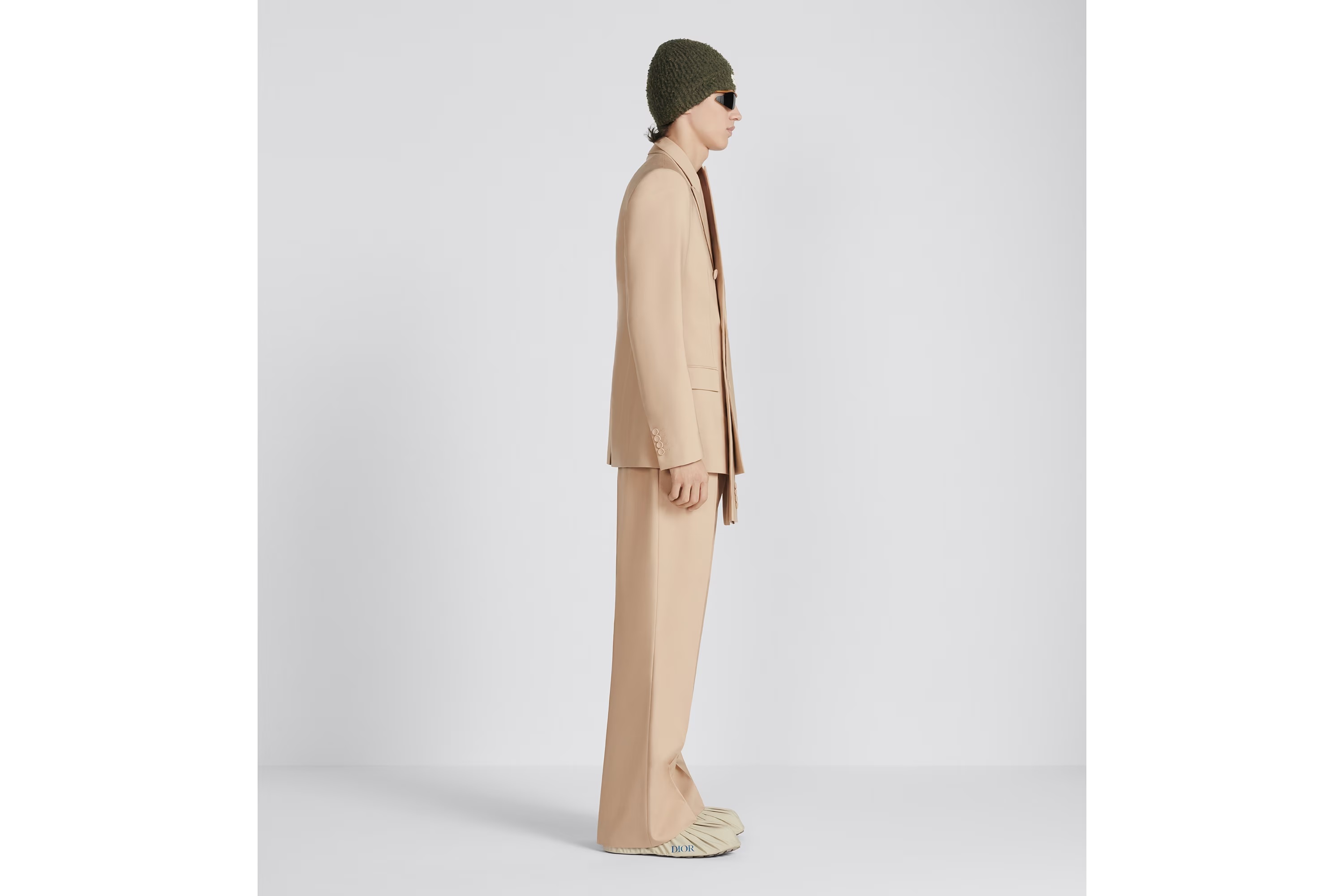 Dior Horn Casual Pants In Brown