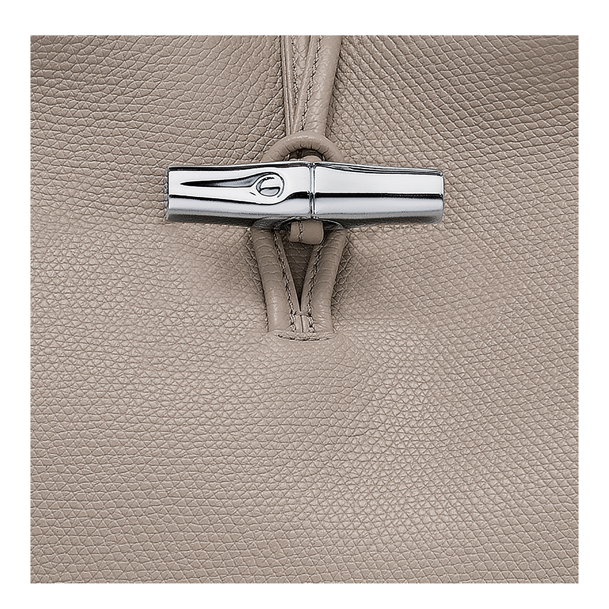 Longchamp Handbag L Le Roseau In Nude