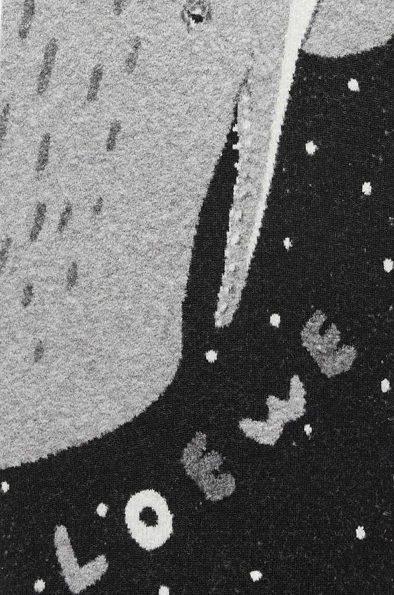 Shop Loewe Whale Scarf In Wool In Black