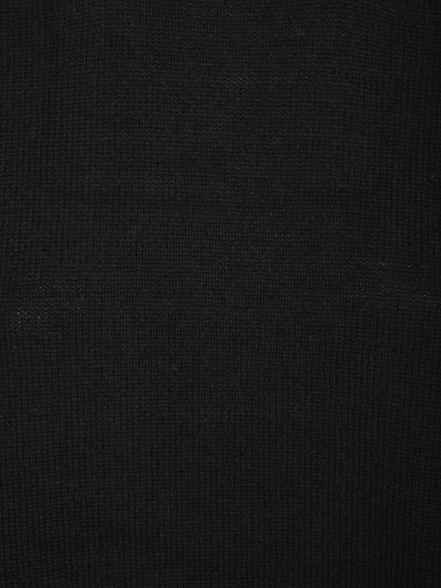 Federica Tosi Turtleneck Sweater In Black