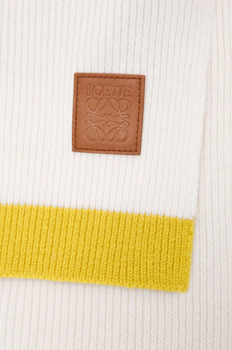 Loewe Asymmetric Scarf In Gold