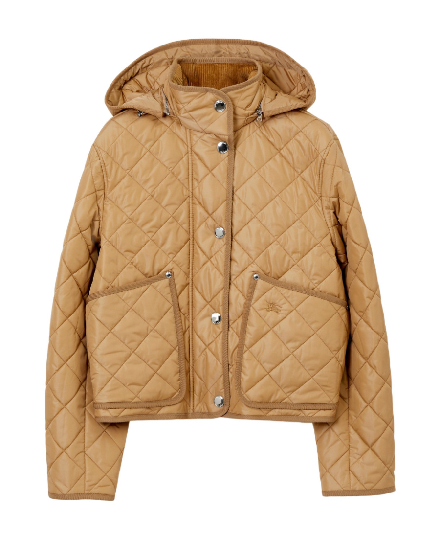 Burberry Humbie Quilted Nylon Down Jacket In Brown