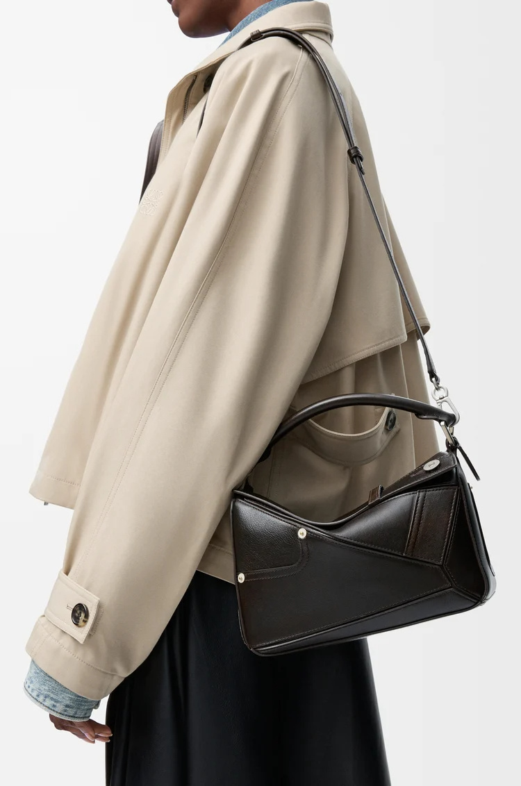 Loewe Panta Small Puzzle Bag In Shiny Calfskin In Brown