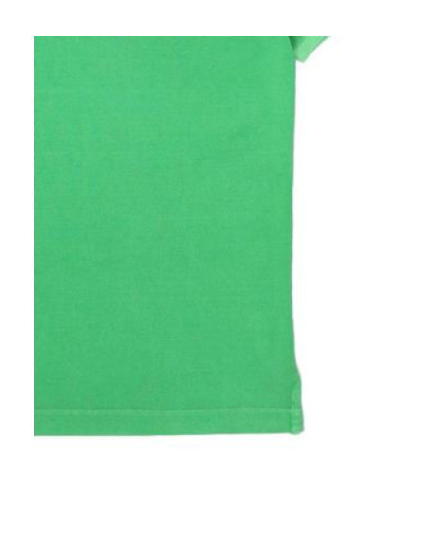 Shop Paul & Shark Logo Lapel Polo Shirt In Green