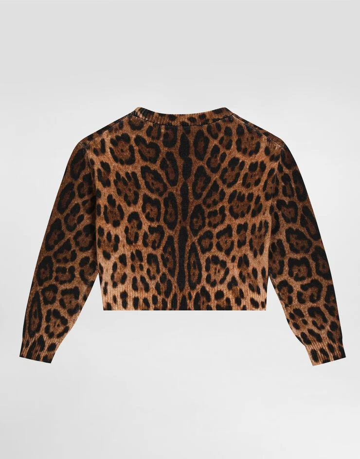 Dolce & Gabbana Leopard-print Crew-neck Pullover In Animal Print