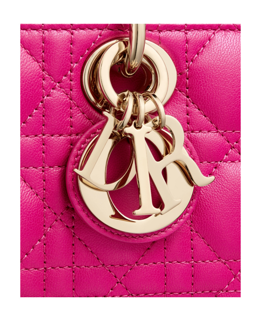 Dior Small Ladyd-joy Bag