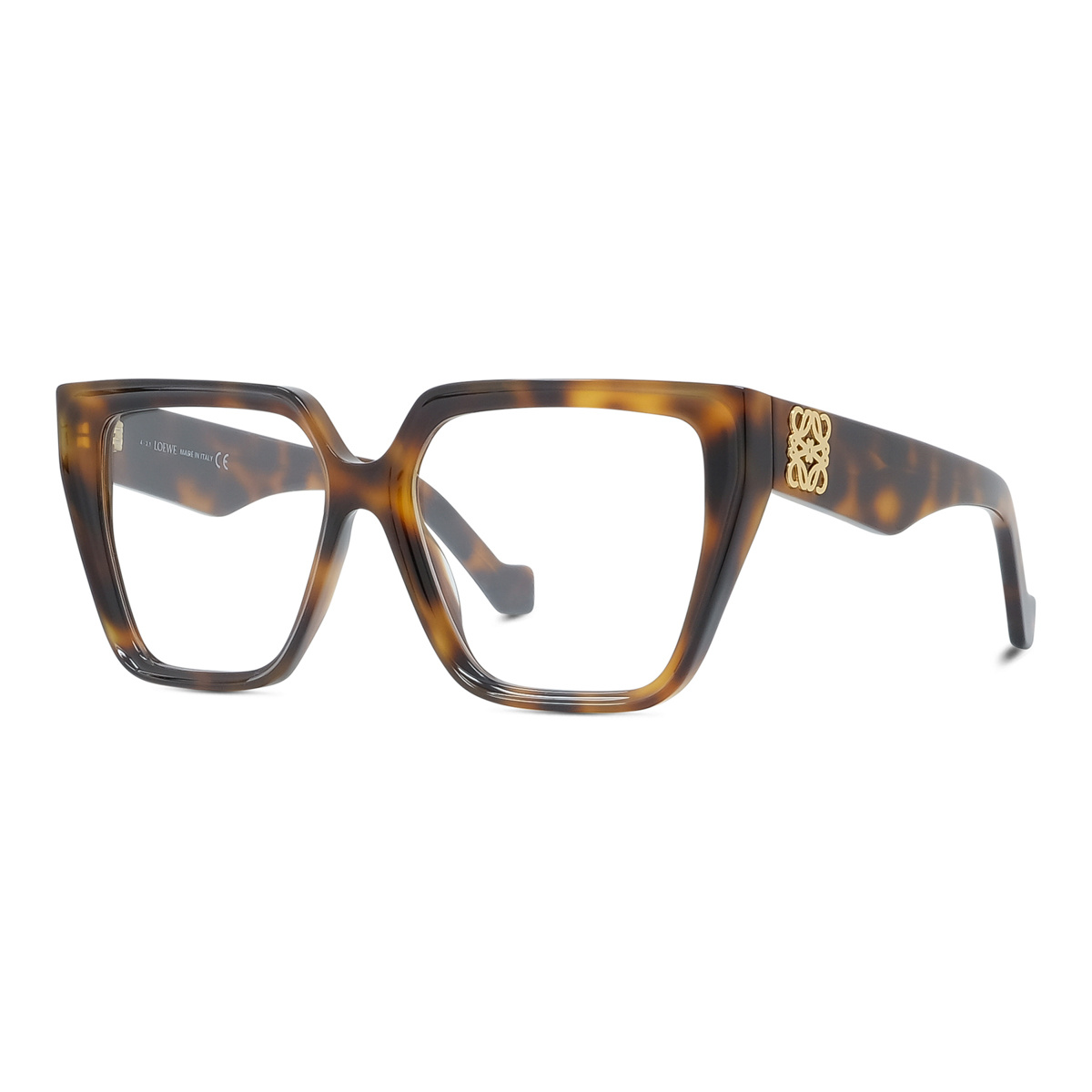 Loewe Logo-plaque Oversize-frame Glasses In Multicolor
