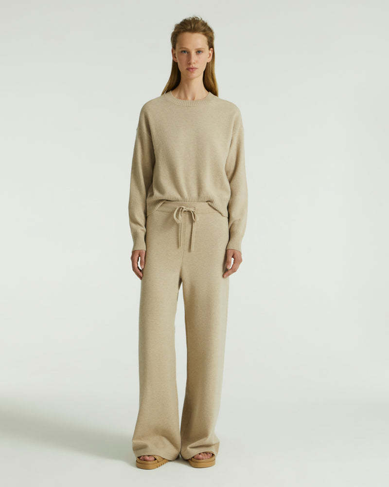 Yves Salomon Wide-leg Wool Casual Pants In Nude