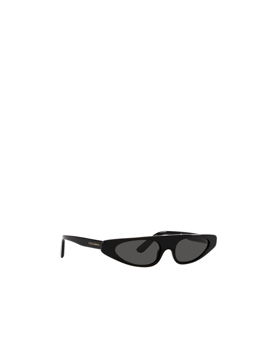 Dolce & Gabbana Re-edition Dna Cat-eye Frame Sunglasses In Black