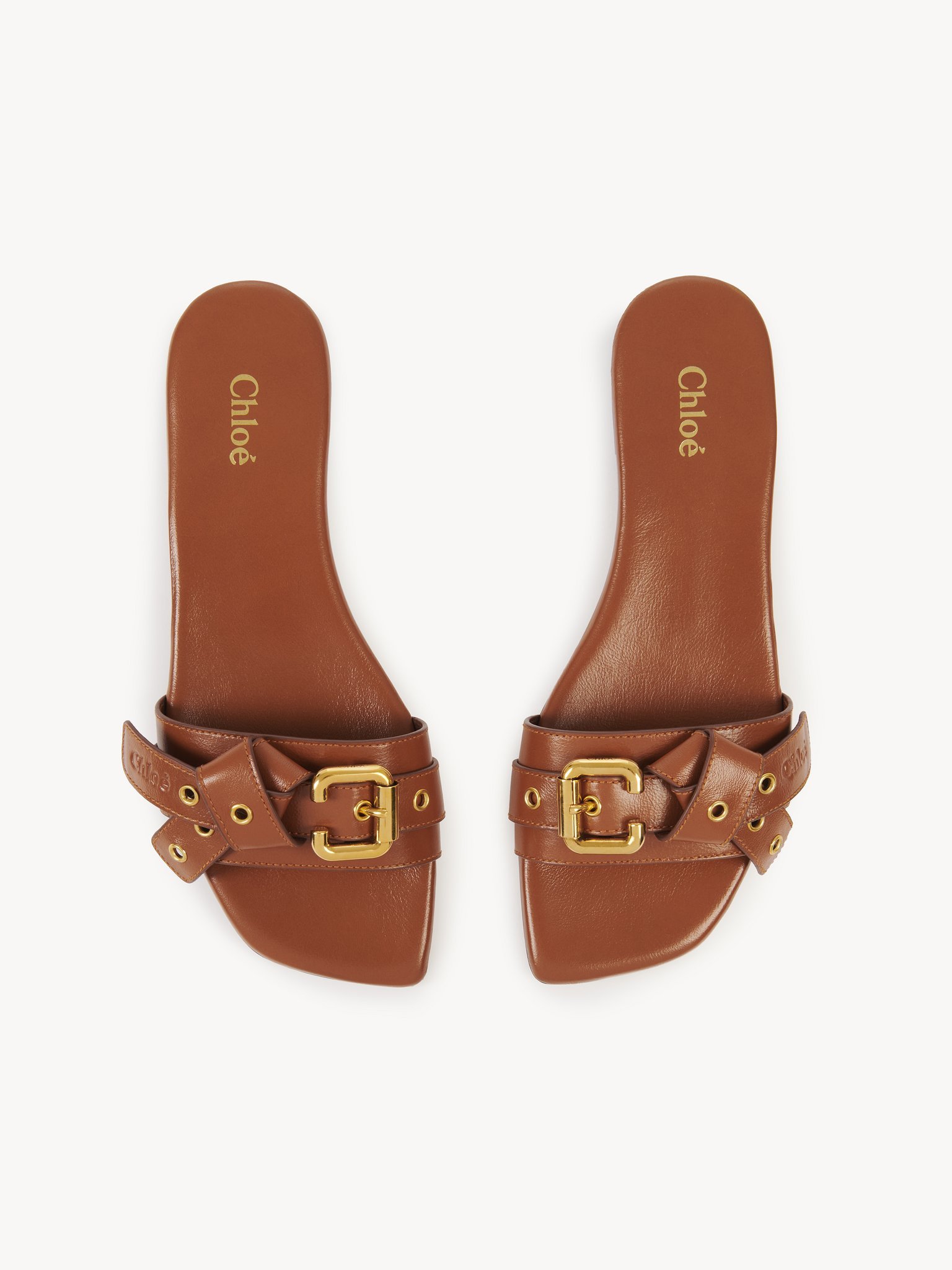 Chloé Mae Leather Buckle Flat Slide Sandals In Brown